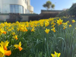 Photo 3- click for photo gallery